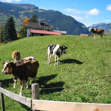 Alpenhof Ξενοδοχείο Γκρίντελβαλντ Εξωτερικό φωτογραφία