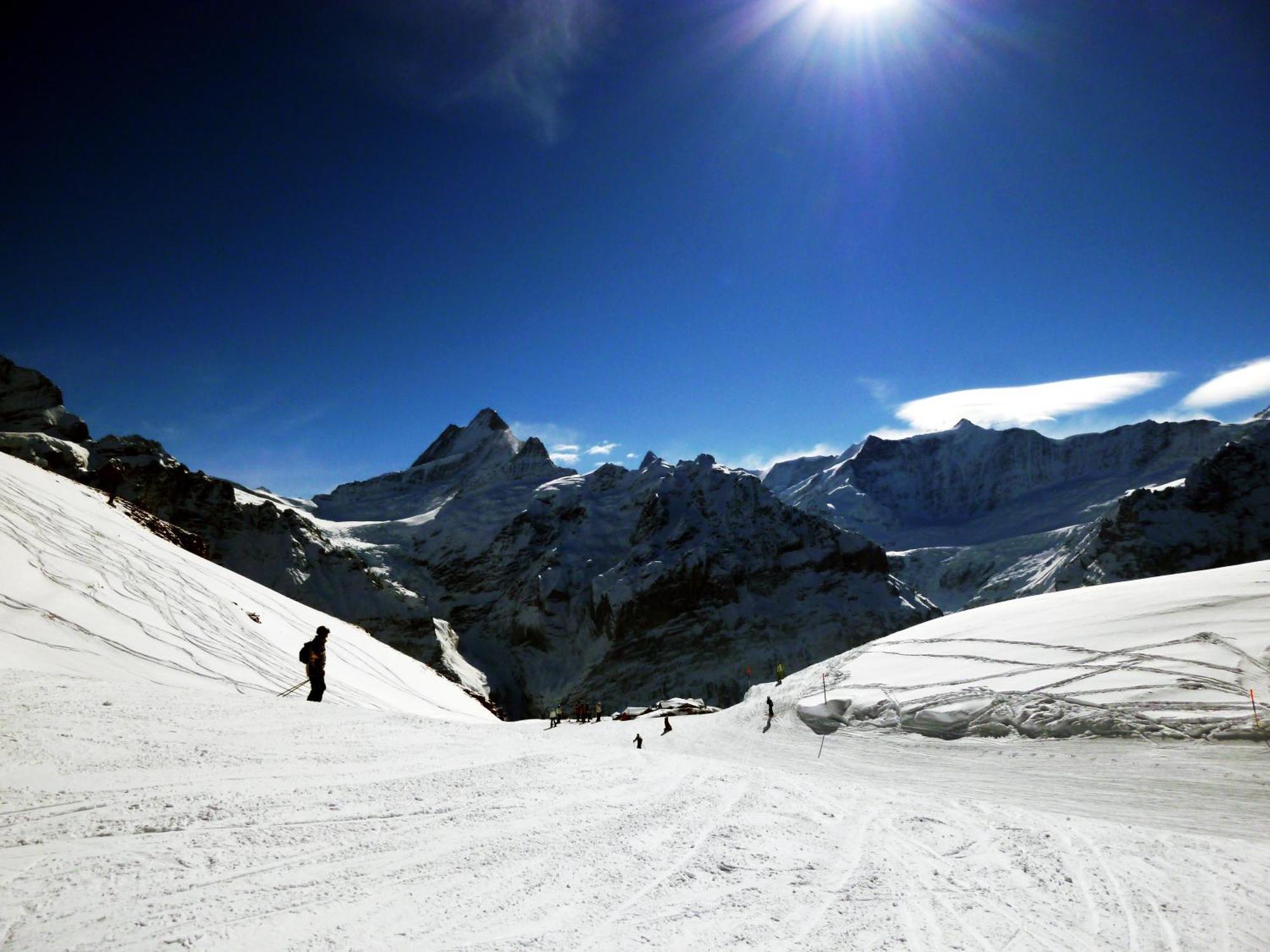 Alpenhof Ξενοδοχείο Γκρίντελβαλντ Εξωτερικό φωτογραφία