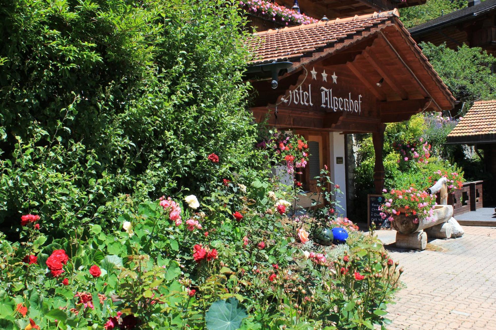 Alpenhof Ξενοδοχείο Γκρίντελβαλντ Εξωτερικό φωτογραφία