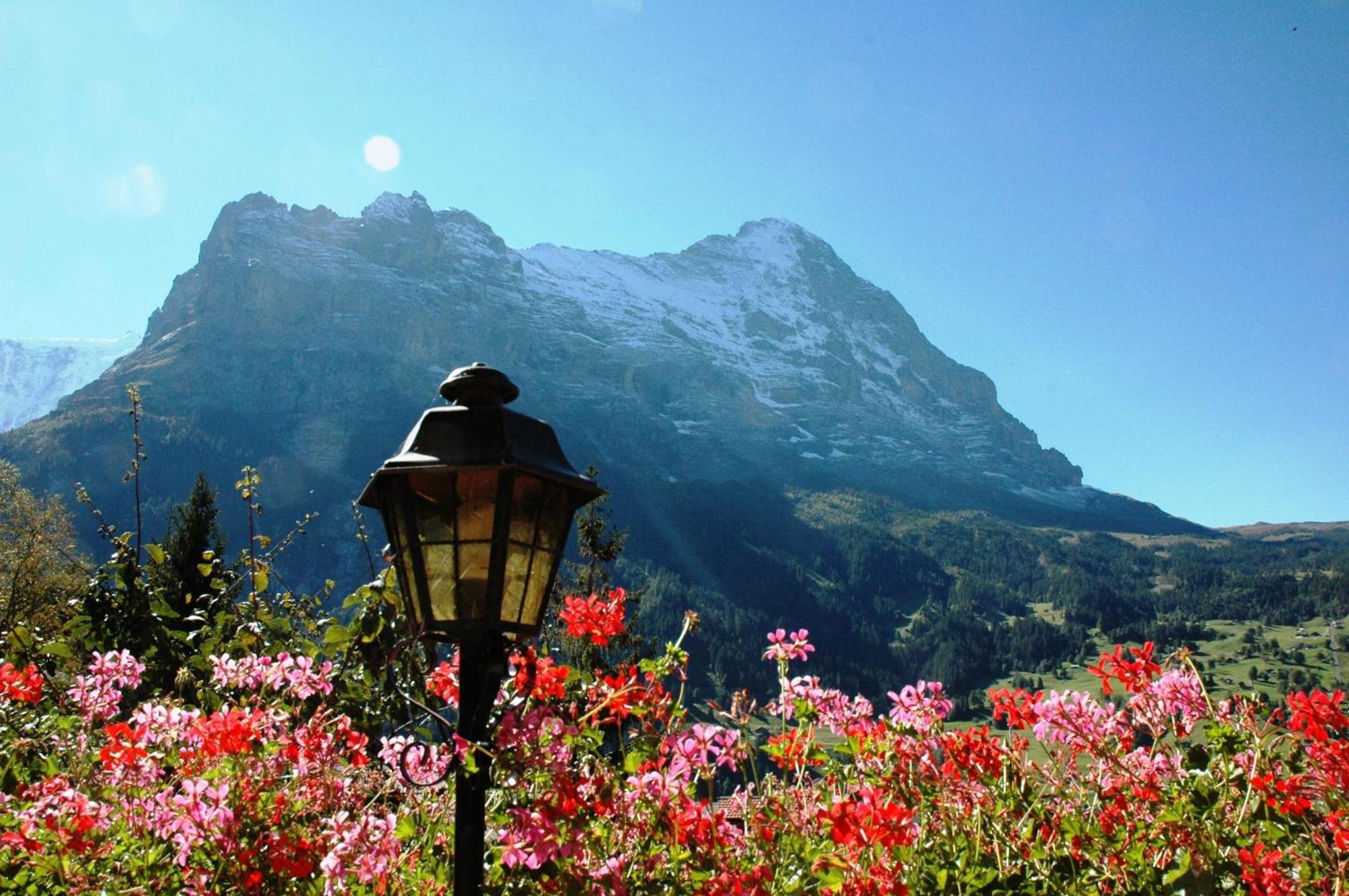 Alpenhof Ξενοδοχείο Γκρίντελβαλντ Εξωτερικό φωτογραφία