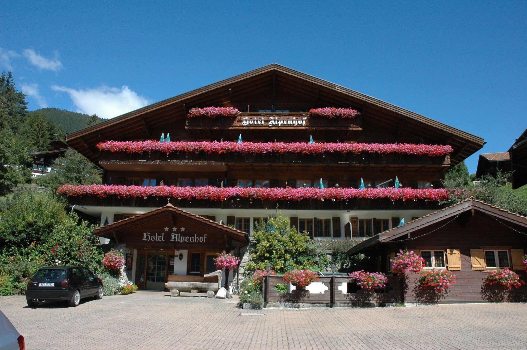 Alpenhof Ξενοδοχείο Γκρίντελβαλντ Εξωτερικό φωτογραφία
