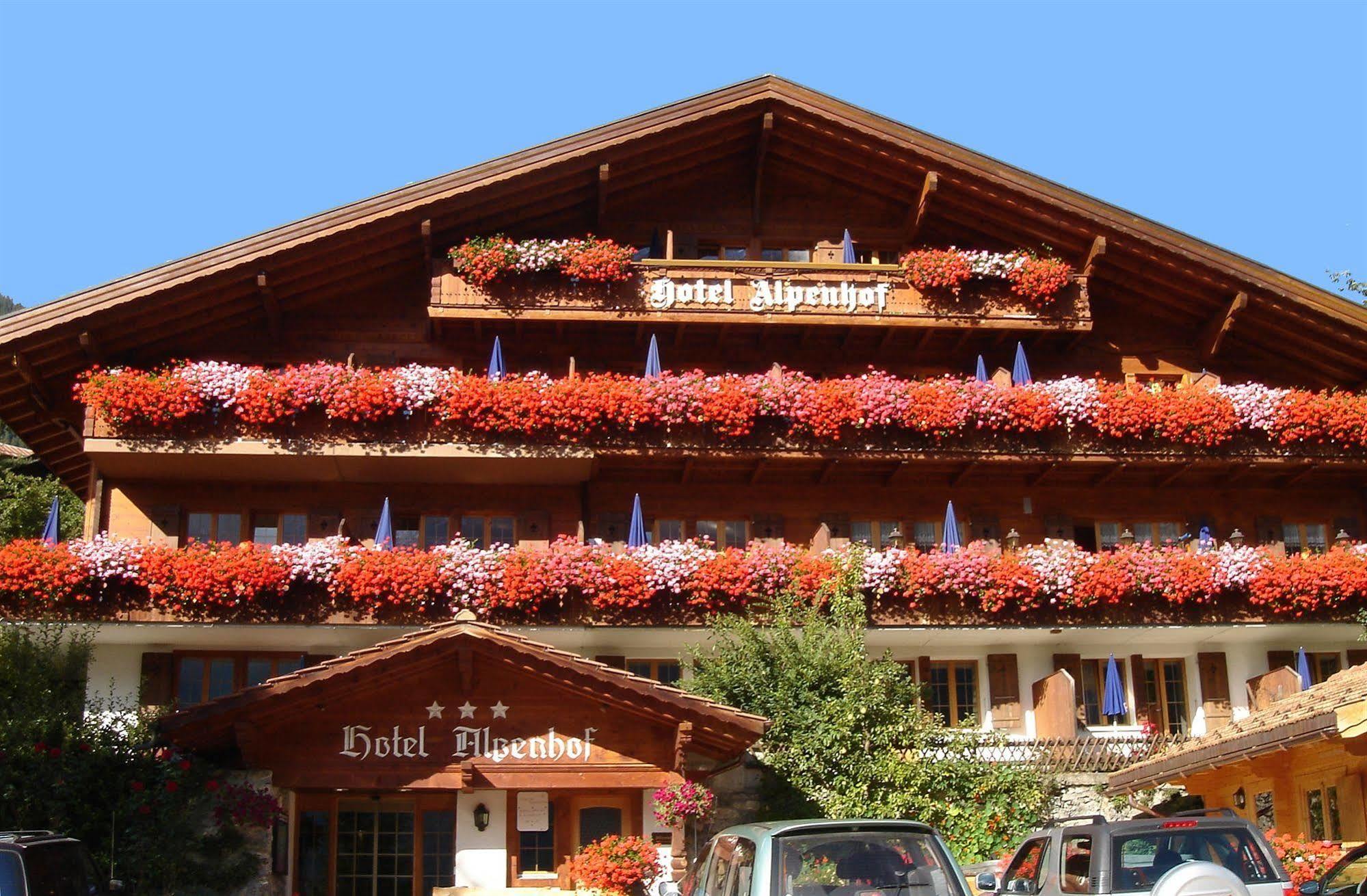 Alpenhof Ξενοδοχείο Γκρίντελβαλντ Εξωτερικό φωτογραφία