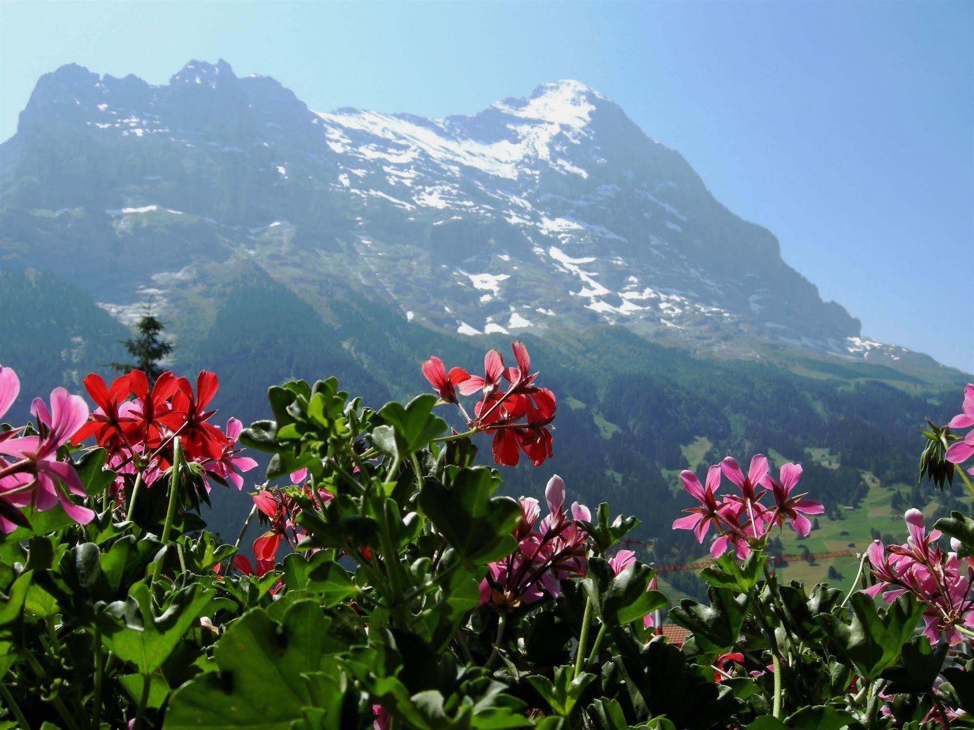 Alpenhof Ξενοδοχείο Γκρίντελβαλντ Εξωτερικό φωτογραφία
